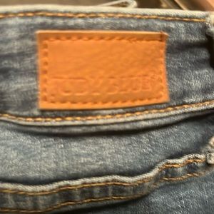 Judy Blue Skinny fit